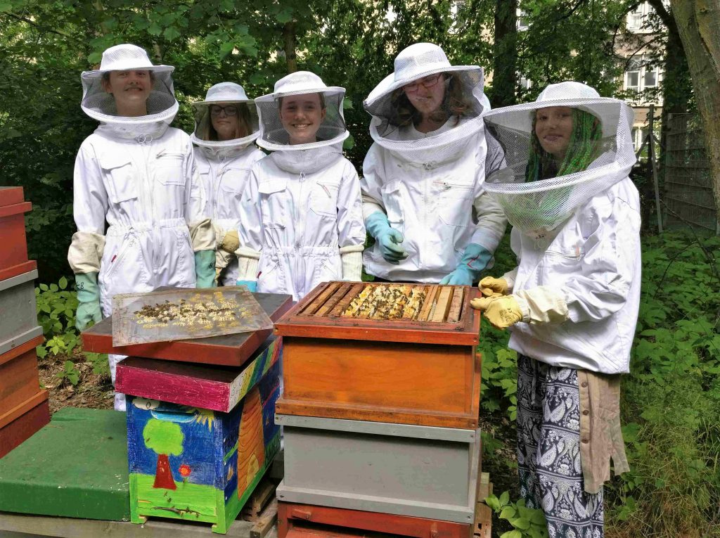 Unsere Bienen